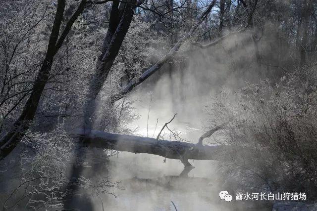 李白写的第一首诗是什么?-专业问答网站,提供精准解答